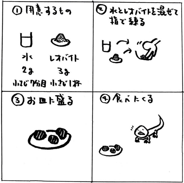 レオバイト　ダイエット